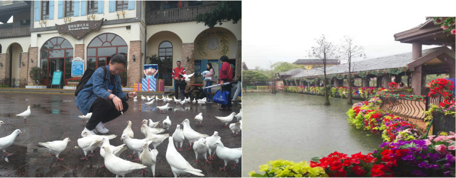 1578975752.png 婦女節(jié)2.png